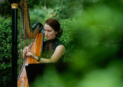 Harp Love
